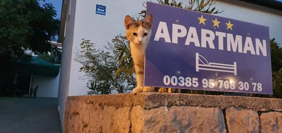 Apartman Zahira Karlobag Exterior foto